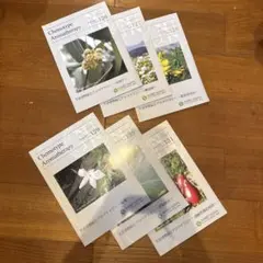 wasabi様 リクエスト 2点 まとめ商品