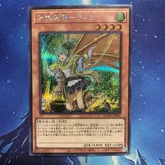 憑依装着ウィン シークレット 絵違い