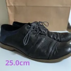 LANVIN レースアップシューズ 黒/ネイビー