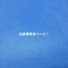 伝統様専用ページ！