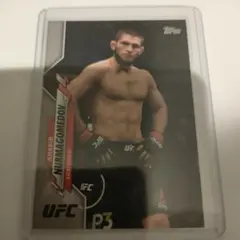 Item thumbnail for item c1e2fa9d-3fc0-45c5-b274-0379e1054aa3