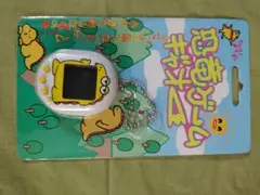 新品】 恐竜ゲームギャオー 育成ゲーム ペットゲーム - メルカリ