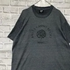 USA製90sヴィンテージTシャツ！シングルステッチ　グレー半袖古着　XL723