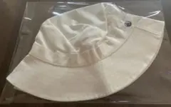 Item thumbnail for item 4b3caa35-c1ea-4d92-9277-8cbe867de240