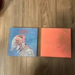 米津玄師 STRAY SHEEP CD+BD 初回限定盤 アートブック盤