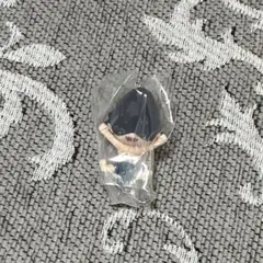 Item thumbnail for item 7ffc6e9a-6fa9-42c6-b6b3-61d51f29fc76