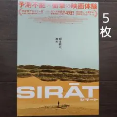 映画　シラート　チラシ　フライヤー　５枚