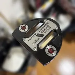 スコッティキャメロンBIG SUR 長尺47インチ