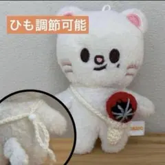 オーダーページ ぬい用ペンライト ⭐︎受注製作⭐︎skzoo オリジナルぬいぐるみ用ペンライト - sorairo