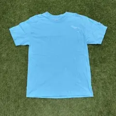 鬼フェード Hanes Beefy-T ピンク ブランクTシャツ Lサイズ US - メルカリ