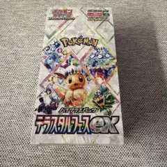 2026年最新】テラスタルフェスex BOX 未開封の人気アイテム - メルカリ