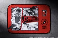 浦和レッズ 熱狂開幕 非売品記念ブランケット