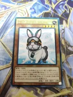 2026年最新】レスキューラビットの人気アイテム - メルカリ