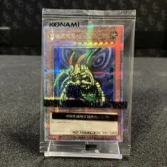 遊戯王 The Lady's Protector 日本選手権店舗代表 優勝景品 - メルカリ