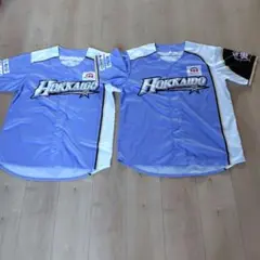 【生産終了カラー】ラベンダー色 『大谷翔平』日本ハムファイターズ ユニフォーム 生産終了カラー】ラベンダー色 『大谷翔平』日本ハム