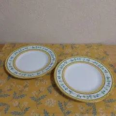 リモージュ❤️皿5枚 2025年最新】リモージュ 皿の人気アイテム - メルカリ