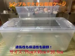 雫工房 デュビア用飼育・繁殖ケージ 中型プラス 二重底上段メッシュ底