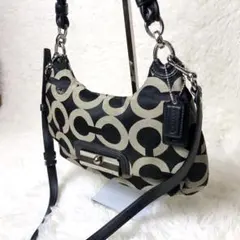✨️美品✨️ コーチ ハンドバッグ ショルダーバッグ 2way オプアート レザー