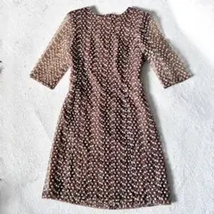 CARVEN ブラウン刺繍入り　シアーワンピース