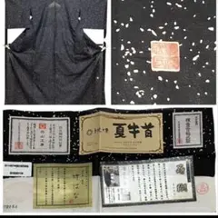 夏着物 夏牛首紬 白山工房 蒔糊 単衣 証紙 作家落款 未使用に近い イ6498 2026年最新】牛首紬の人気アイテム - メルカリ