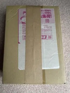 ホワイトフレア、ブラックボルト