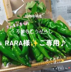 ❇️☘️『RARA様』ご専用です♪☘️7月12日ｏｒ19日発送♪（発送日選択可）