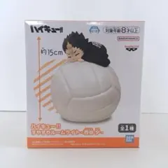 ハイキュー!! すやすやルームライト 西谷夕 【箱付き・匿名配送