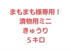 まもまも様専用！漬物用ミニきゅうり５キロ