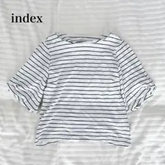 インデックス 半袖Tシャツ ボーダー カジュアル コットン100 ウォッシャブル