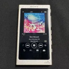 2025年最新】sony walkman nw－a45の人気アイテム - メルカリ