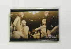 終焉のヴィルシュ