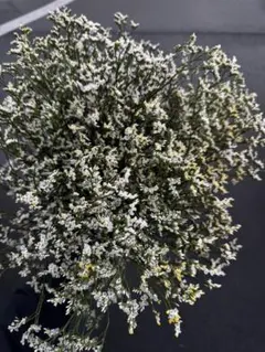 Ne*　インスタ　@ne_0403様 リクエスト 2点 まとめ商品