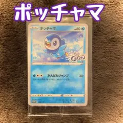 2025年最新】ポッチャマ プロモ 未開封の人気アイテム - メルカリ