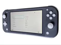 Nintendo Switch Lite 本体 グレー スイッチライト
