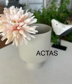 2025年最新】solso 鉢の人気アイテム - メルカリ