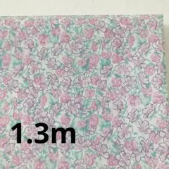 アシュテッド　メロウパープル　1.3m リバティ