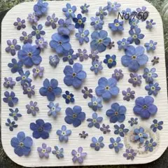 2026年最新】わすれな草 の人気アイテム - メルカリ