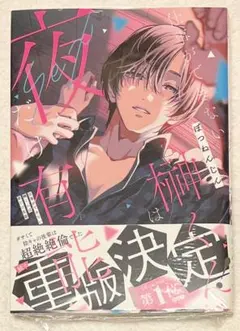 ぽつねんじん 仕事ができない榊くんは夜だけ有能 新品未開封 特典なし