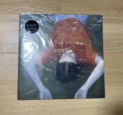 Haruomi Hosono Quiet Logic LP - メルカリ