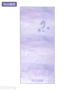 専用