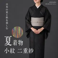 【夏166】夏着物 小紋 単衣 黒 緑 茶 対象身長～162cm お茶会にも◎のサムネイル