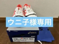 Item thumbnail for item e5186e3f-ddc9-4049-ad9f-5442a8d57d0e