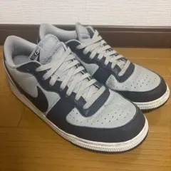 NIKE TERMINATOR LOW ナイキ　ターミネーター　ロー　28cmのサムネイル
