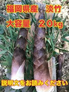愛知産　朝堀新鮮たけのこ　約２０キロ 収穫出来次第で即日発送！ 愛知産 朝堀新鮮たけのこ 約20キロ 収穫出来次第で即日発送！ - メルカリ
