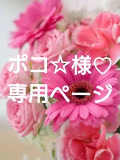 ポコ☆様 リクエスト 2点 まとめ商品