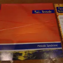 ラブ456 Testudo Melodic Syndrome