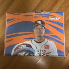 楽天イーグルス 田中和基&岡島豪郎タオル　助手席ガラポン