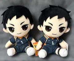 2025年最新】澤村大地 ぬいぐるみの人気アイテム - メルカリ