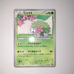 2026年最新】シェイミ cp5の人気アイテム - メルカリ