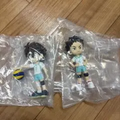 PalVerse パルバース ハイキュー!! vol.2 及川徹 岩泉一